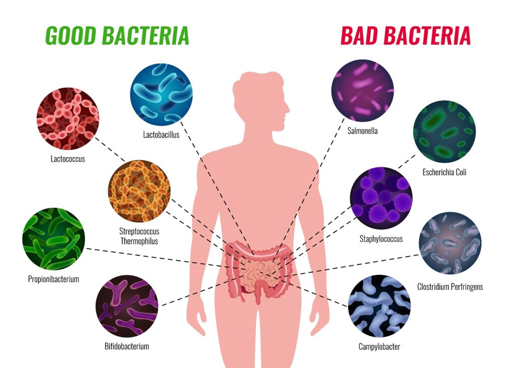 Clostridium difficile